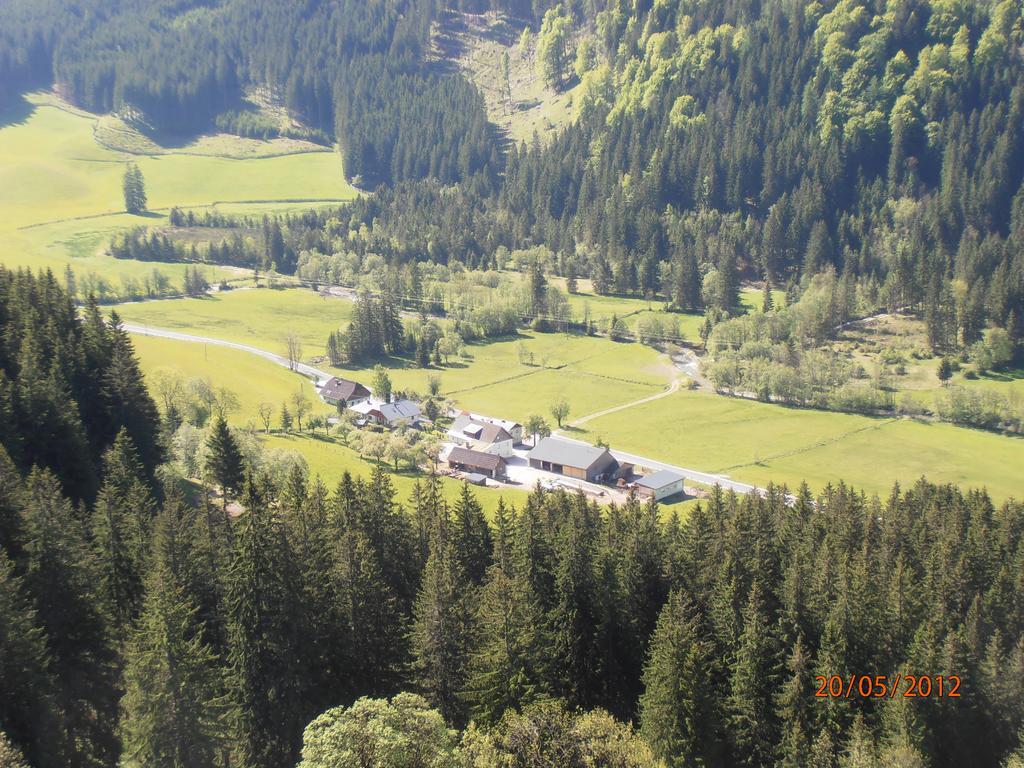 Huberbauer Villa Johnsbach Rom bilde
