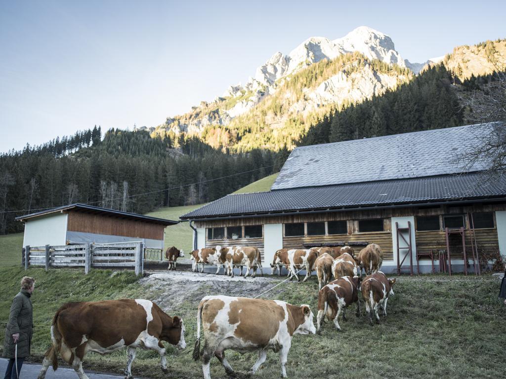 Huberbauer Villa Johnsbach Eksteriør bilde
