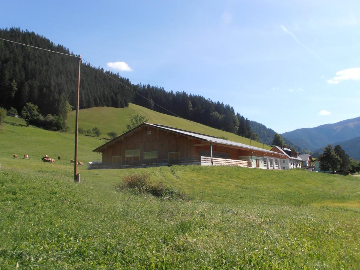 Huberbauer Villa Johnsbach Eksteriør bilde