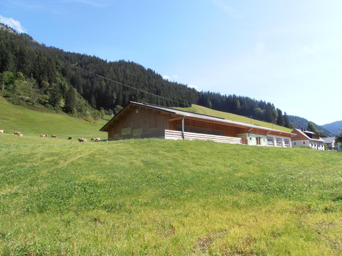 Huberbauer Villa Johnsbach Eksteriør bilde